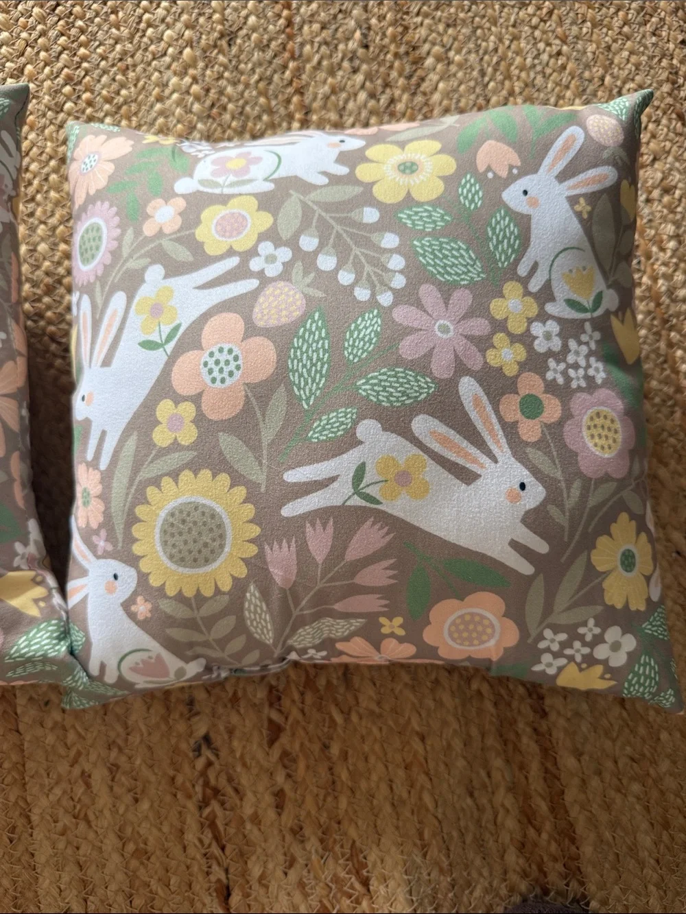 2 Decorative Bunny Floral Throw Pillow Cover - Sage & Pastel 11x11